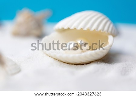The white pearl in the shell is on the beach
