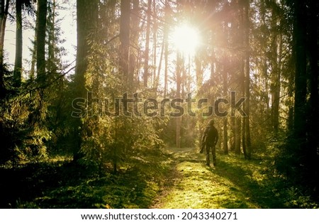 wildlife photographer in the morning forest