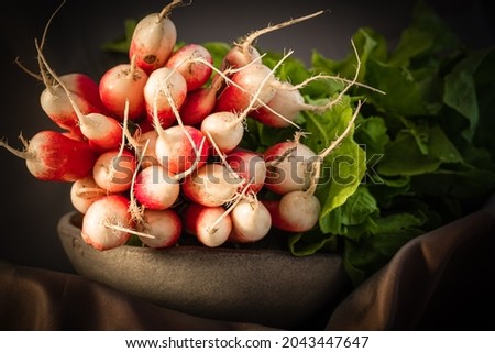 still life with a bunch of radishes