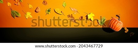 Autumn pumpkin with colorful leaves overhead view - flat lay