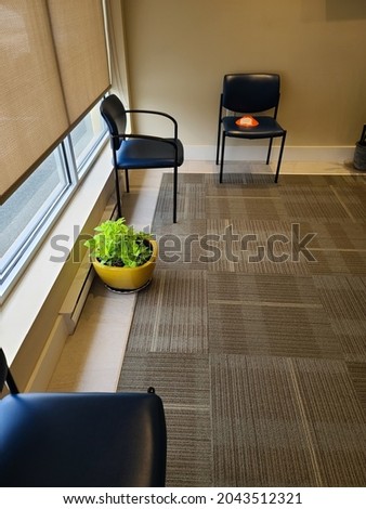 An office waiting room that is empty with socially distanced chairs  and a beautiful houseplant that's sitting on the ground.