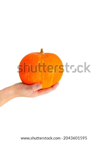 Ripe orange pumpkin in woman hand isolated on the white
