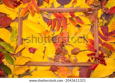 Autumn leaf composition with picture frame. Copy space
