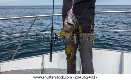 A man is standing on a yacht, holding a newly caught sea bass on a fishing line. A large fish with spiny fins. In the background-metal railings, blue ocean. Avacha Bay. Petropavlovsk-Kamchatsky Royalty-Free Stock Photo #2043624017