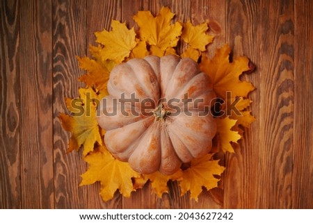 Autumn composition of pumpkin and yellow leaves on a brown wooden background. The concept of Thanksgiving or Halloween. Top view of the fall background.