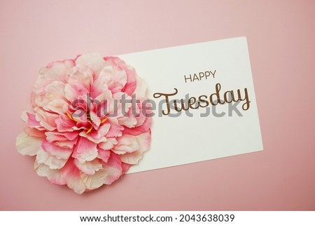 Happy Tuesday typography text with flower decor on pink background