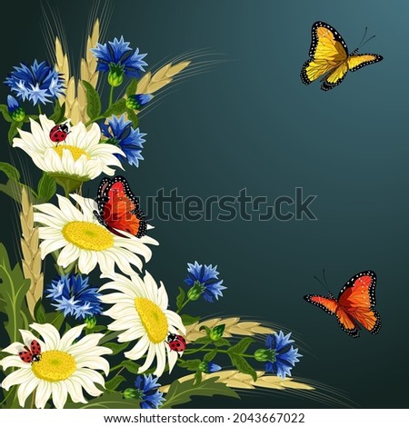 Colored illustration with ears and flowers.Chamomiles, cornflowers, ears of corn and butterflies on a colored background in vector illustration.