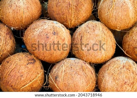 Set of natural coconuts displayed in market for sale