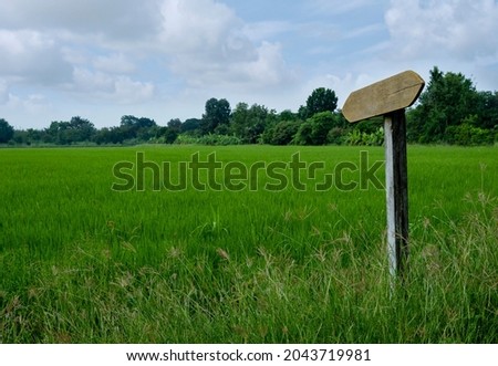 Empty wooden signboard in rice fields.