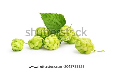 hops with leaf on a white background Royalty-Free Stock Photo #2043733328
