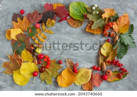 Autumn composition, dried leaves, berries on gray background, thanksgiving day concept. Flat lay, top view, copy space