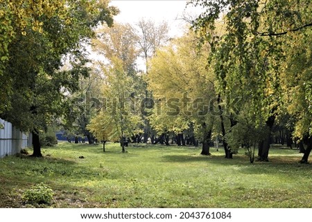 autumn landscape of the city park nature is beautiful background background picture is natural autumn September yellow trees sunlight color environment