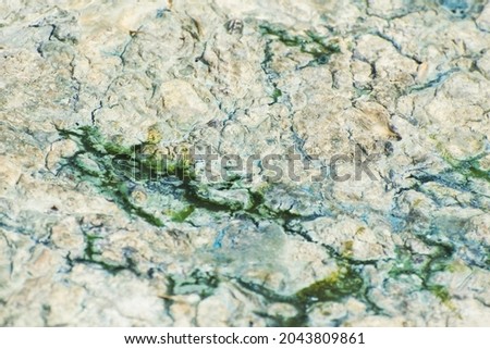 Abstract background. Multi-colored stains on the surface of the swamp mud. Mass reproduction of cyanobacteria in water bodies. A specially defocused photo.