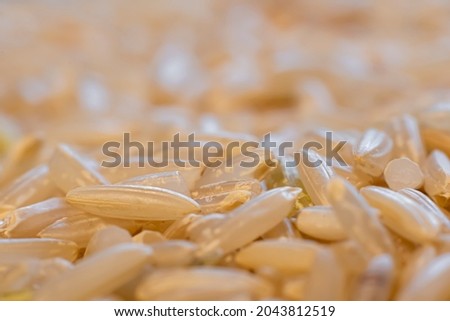 Organic brown rice closeup. Raw uncooked food rich in fibre. Vegetarian or vegan diet, Asian culture. Selective focus on the texture of the grains, blurred background.