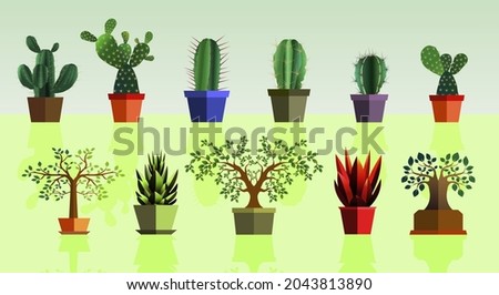 Set of assorted plants, cactus plants and several types of trees with shady leaves with shadows and light green background