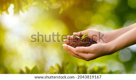 world environment day concept: planting trees to save the world with human hands holding small trees over blurred agricultural field background Royalty-Free Stock Photo #2043819167