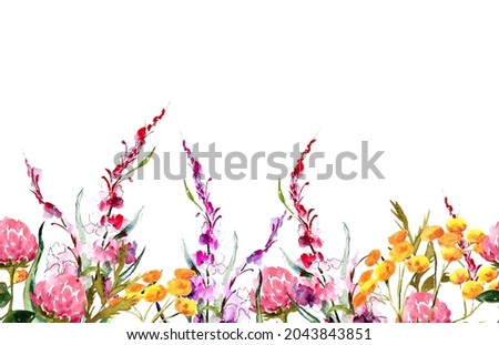 
Watercolor illustration. Field medicinal herbs and flowers. Pink clover and tansy. Template for printing. Free space for text