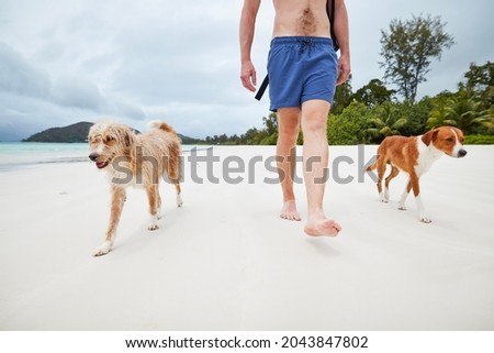 Low section of young man walking on white sand beach with cute dogs. Royalty-Free Stock Photo #2043847802