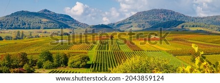 Autumn Vineyard landscape, banner. Panoramic view. Vineyard Palatinate region, Deutsche Weinstrasse ( German Wine Route ), Rhineland-Palatinate, Germany.  Royalty-Free Stock Photo #2043859124