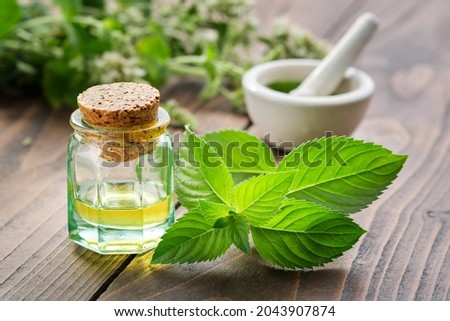 Bottle of mint essential oil and peppermint leaves. Mortar of spearmint leaves and blossom Mentha piperita medinal plants on background. Royalty-Free Stock Photo #2043907874