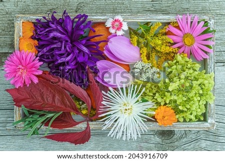 Various flower buds and plant leaves in a box from above