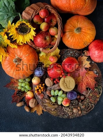 Wiccan altar for Mabon sabbat. wheel of the year with candle, seasonal fruits, pumpkins, flowers, nuts on black background. Witchcraft, esoteric spiritual ritual. autumn equinox holiday Royalty-Free Stock Photo #2043934820