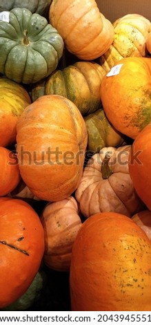 close ups of various pumpkins and gourds