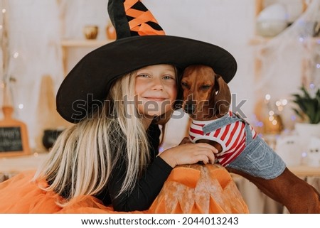 A little blonde girl in a witch costume in a huge witch hat and an orange puffy skirt holds a dwarf dachshund on her lap against a background of pumpkins. Halloween concept, space for text.