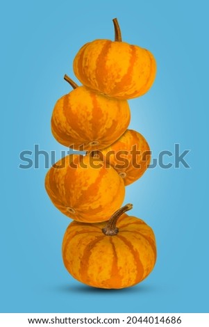 Creative autumn layout with floating pumpkins in a blue background, holiday decoration. Halloween or Thanksgiving concept background.
