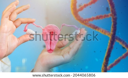 Genetics, reproduction. IVF. Female reproductive system. Fertilization and gestation. Exclusion of genetic pathology. Female fertility. Women health. Preventive examination by a gynecologist. Royalty-Free Stock Photo #2044065806