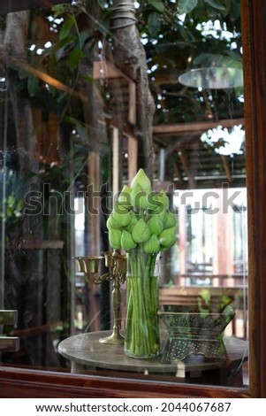 Several lotus flowers in the same vase