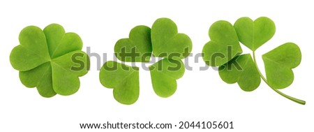 Green clover leaf set isolated on white background. Four-leaf clover top view