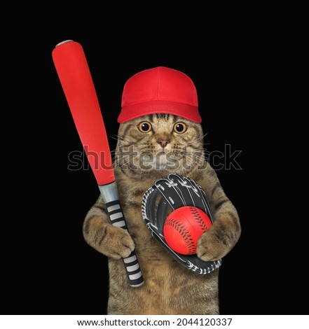 A beige cat baseball player in a cap holds a red bat, a ball and a glove. Black background. Isolated.