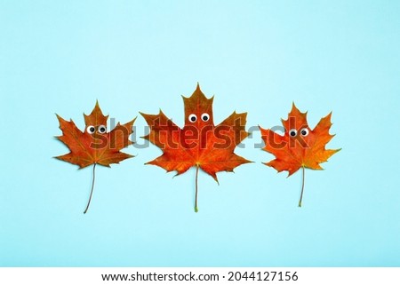 Autumn leaves creative idea concept. Red-yellow maple autumn leaves with funny eyes. Creativity and crafts for children