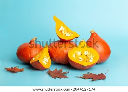 Pumpkin for halloween and thanksgiving on empty blue minimal background. Autumn harvest of yellow pumpkin with slices and leaves