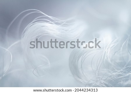 Extreme macro of polyester stable fiber. Selective focus, shallow depth of field. Royalty-Free Stock Photo #2044234313
