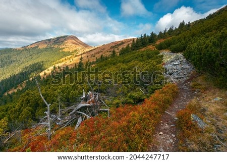 autumn landscape in mountains. peak in dappled light in the distance. colorful slopes and meadows on the hillside. wonderful cloudscape on a blue sky above the ridge