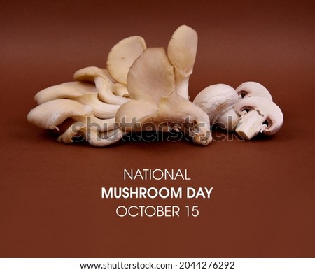 National Mushroom Day stock images. Oyster mushroom and white champignon mushrooms isolated on a brown background stock images. Mushroom Day Poster, October 15. Important day