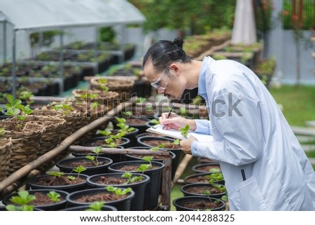 scientist working to research in agriculture green plant at biology science laboratory greenhouse, organic experiment test for medical food biotechnology, botany ecology biologist in farming growth Royalty-Free Stock Photo #2044288325