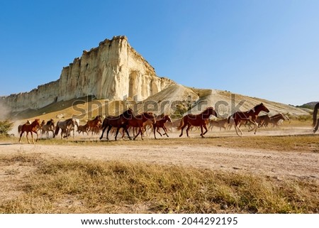 Galloping horses against the background of white rock and sky.