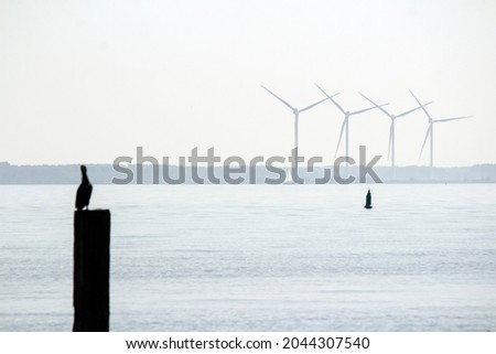 North sea panoramic photo. Calm water, blue sky. Nature of the Netherlands. 