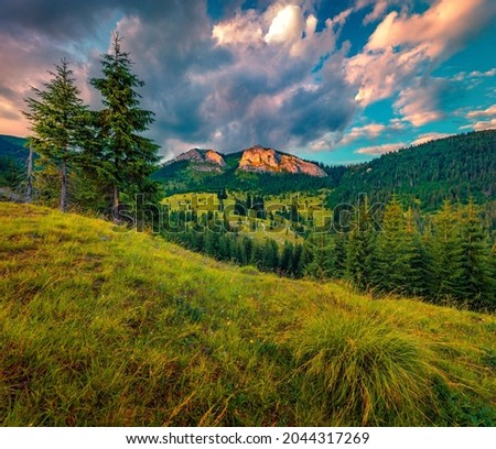 Beautiful summer scenery. Wonderful morning view of Pietrele Albe mountain peak. Gorgeous outdoor scene of Apuseni Natural Park, Cluj County, Romania, Europe. Beauty of nature concept background. Royalty-Free Stock Photo #2044317269