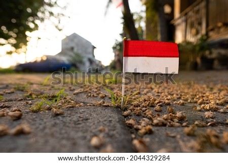 Miniature Indonesian flag standing on the sidewalk, in the beautiful morning sun.