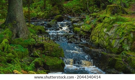 Small creek flushing through moss covered rocks in a beautiful fir forest in Sweden Royalty-Free Stock Photo #2044340414