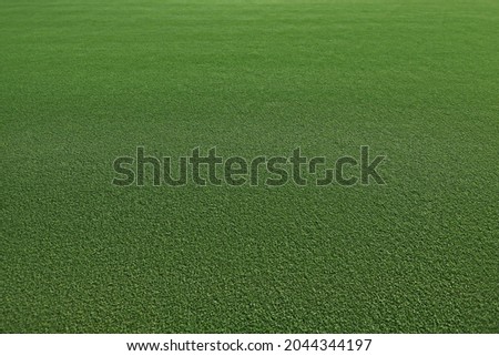 Green grass texture. Green lawn, full length with space for text
