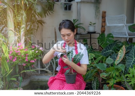 A young woman who enjoys gardening at home during holidays and working remotely, loves potted plants, self-employed and love of houseplants, freelance.
