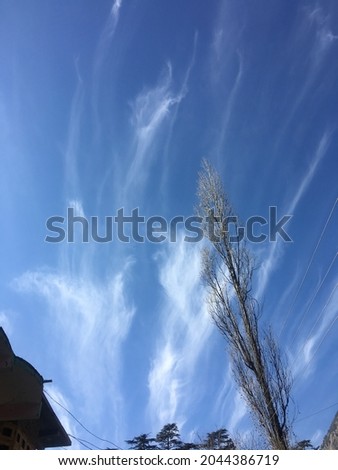 Nature Photography of  wavy and blur clouds and tree