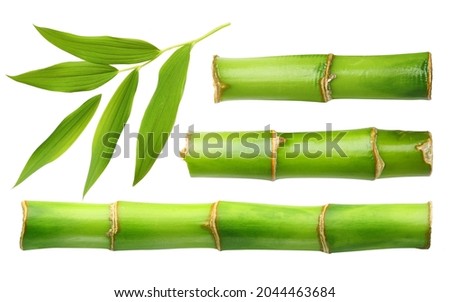 Branches of bamboo set isolated on white background Royalty-Free Stock Photo #2044463684