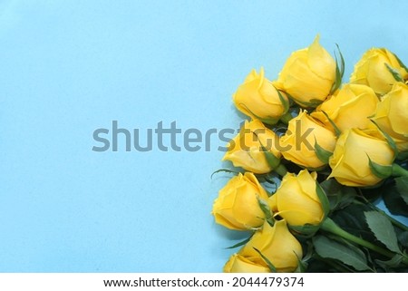 an armful of yellow roses lie on the right against a blue background