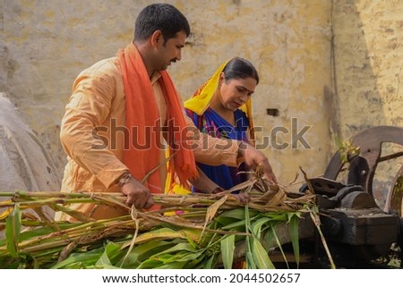 Farmer is doing cultivation in his field